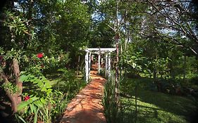 My Hotel Eco Lodge